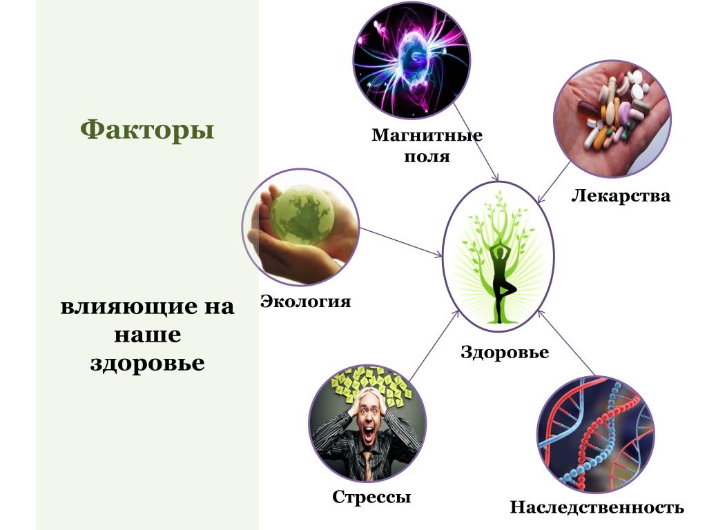 Окружающая среда и здоровье человека презентация 3 класс