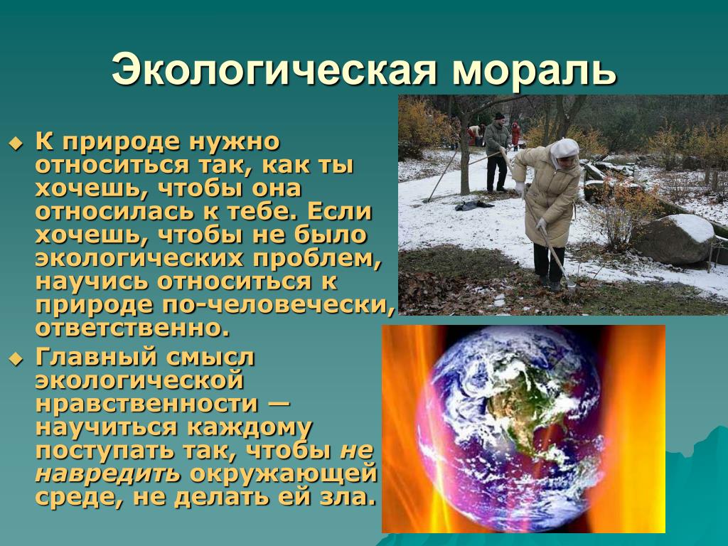 Природа экология презентация