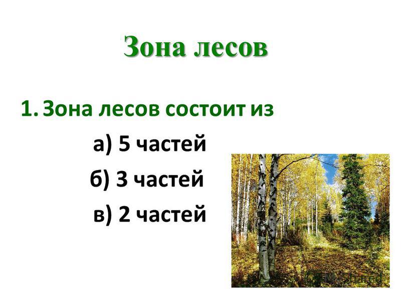 Леса россии тест 4 класс окружающий мир. Тест по теме жизнь леса.