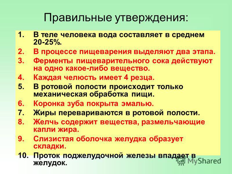 Какие утверждения верны не с существительными. В процессе пищеварения выделяют этапы. В процессе пищеварения выделяют этапы механической обработки. Какие из утверждений верны. Какие утверждения верны.