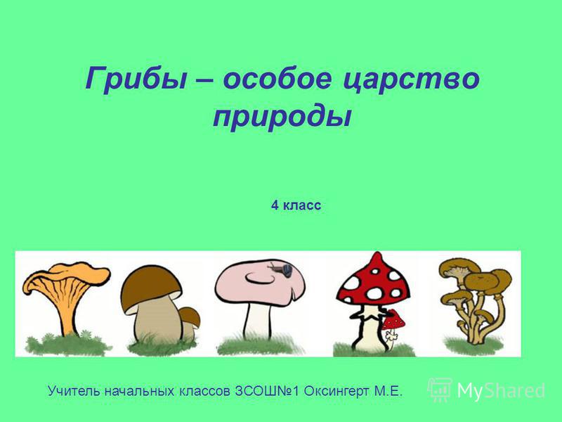 3 1 из царств природы. Грибы особое царство. Царства природы 3 класс. Грибы это особое царство природы. Царство живой природы грибы 2 класс.