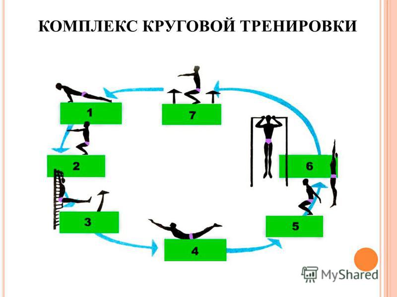 Рисунок круговая тренировка