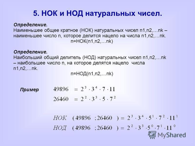 Делители числа информатика