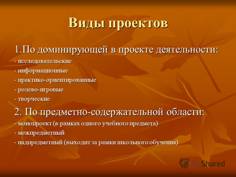 Типы проекта по доминирующему виду деятельности