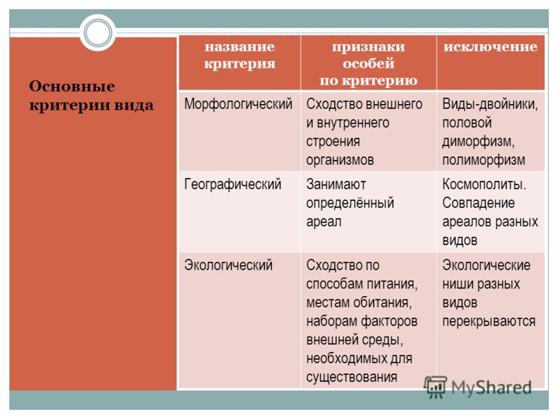 Презентация к проекту 9 класс пример по биологии