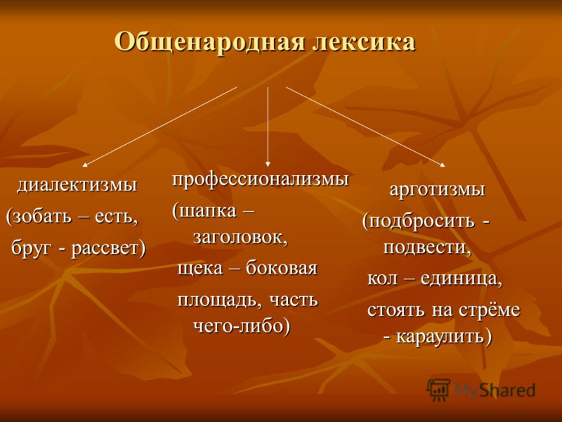 Диалектная лексика презентация