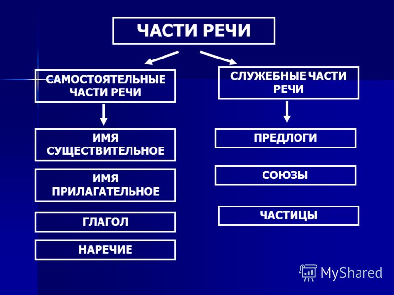 Самостоятельные и служебные части речи