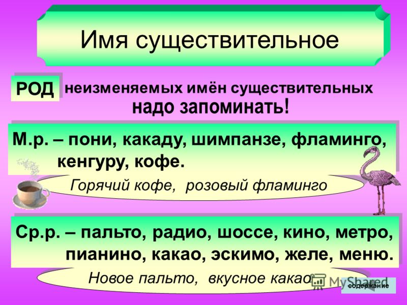 Презентация неизменяемые слова 1 класс