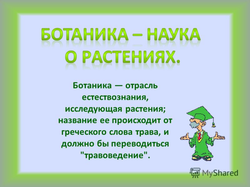 Наука ботаника презентация