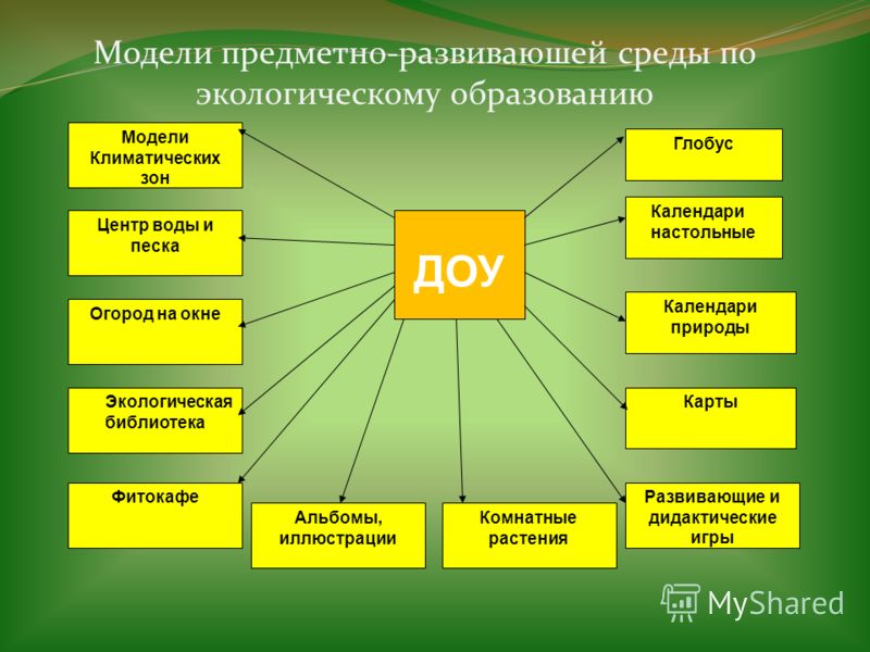 Схема экологическое воспитание