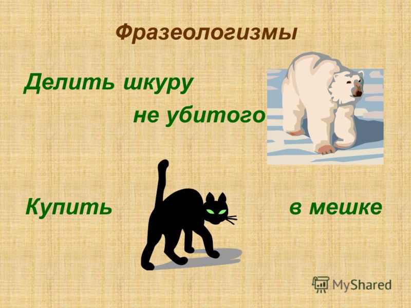 Проект по русскому языку 6 класс на тему фразеологизмы с названиями животных