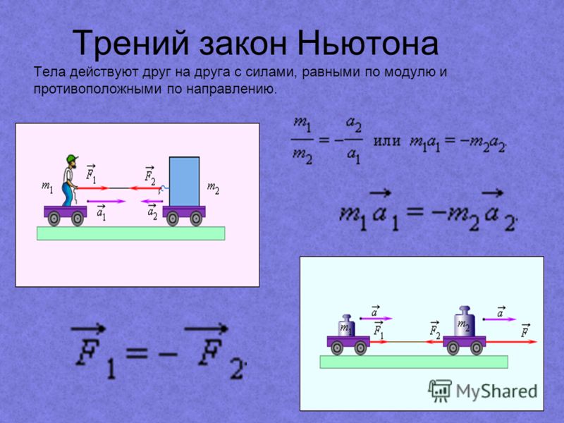 Тела действуют друг на друга с силами