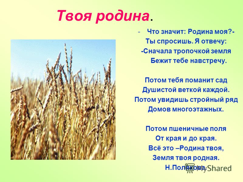 Родной 4 класс. Что значит Родина. Что значит моя Родина. Это Родина твоя стихотворение. Сочинение о родине.