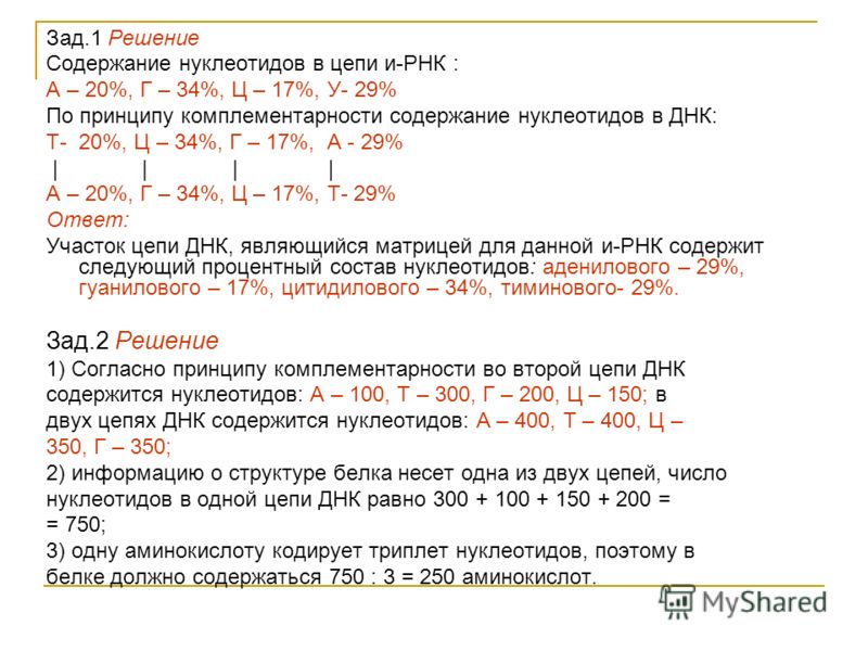 Сколько нуклеотидов содержит ген обе цепи. Решение задач ДНК. Решение задач на комплементарность ДНК. Определение процентного содержания нуклеотидов в ДНК. Задачи на содержание нуклеотидов в ДНК.