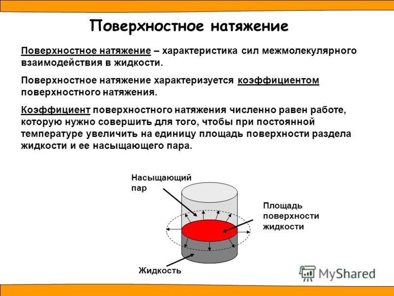 Свойства жидкости поверхностное натяжение 10 класс презентация