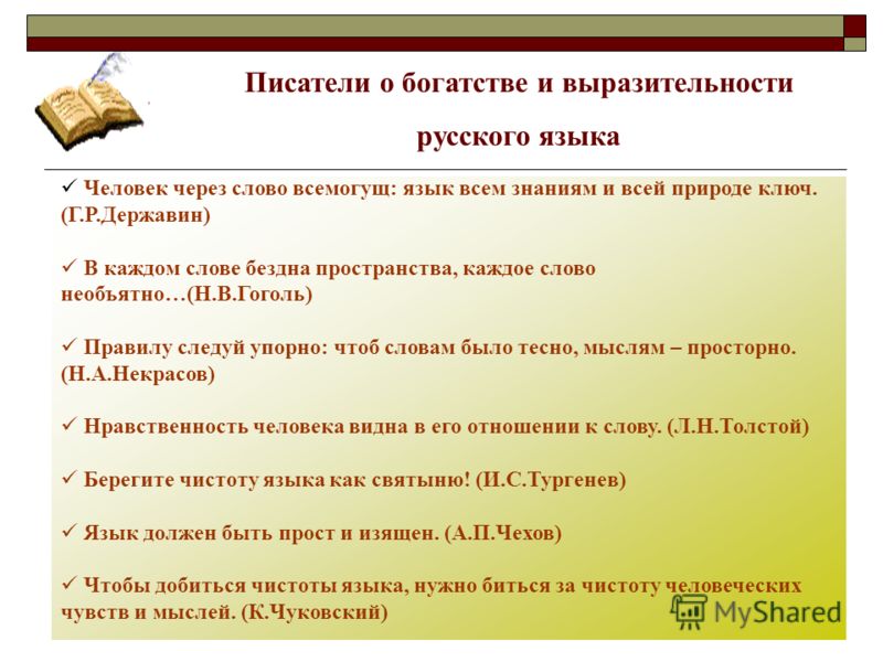 Средства выражения мыслей в литературе. Высказывания о выразительности языка. Высказывания о выразительности русского языка. Выразительность и богатство языков. Высказывания авторов о русском языке.