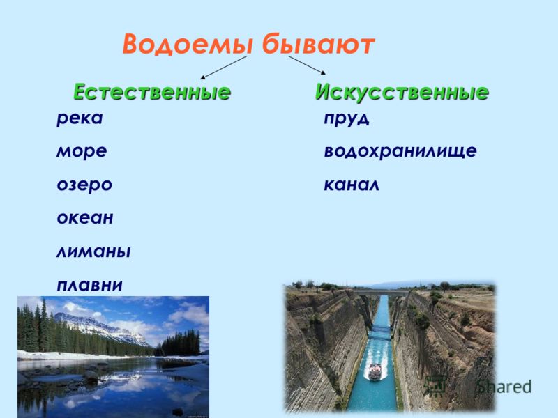 Дополни схему водоемы озеро