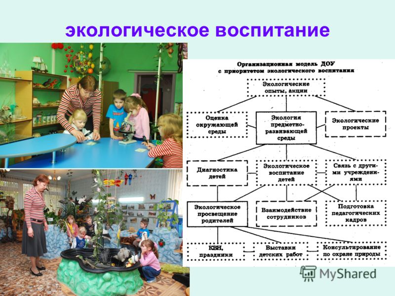 Проект группы доу. Структура экологического воспитания. Экологическое образование дошкольников в ДОУ. Экологическое воспитание дошкольников в ДОУ. Экологическая направленность в ДОУ.