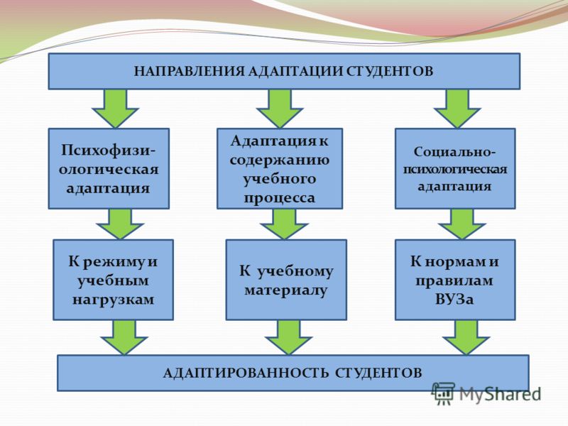 Адаптация студентов в вузе