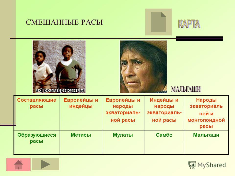 Мулаты описание. Смешанные расы людей. Расы смешанные расы. Названия смешанных рас людей. Составляющие расы мальгаши.