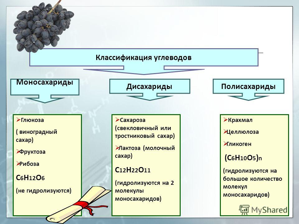 Углеводы виды