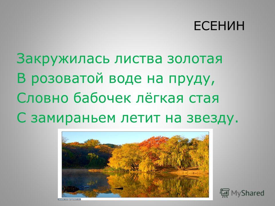 На воде и в лесу 2 класс презентация