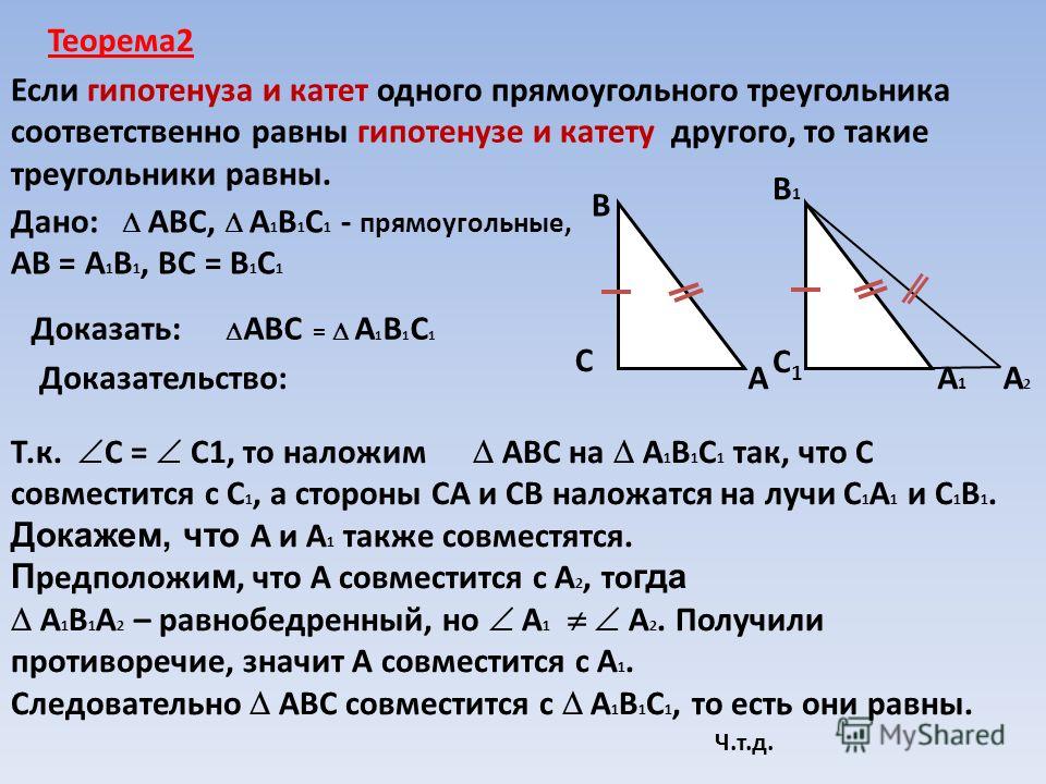 Катеты пря