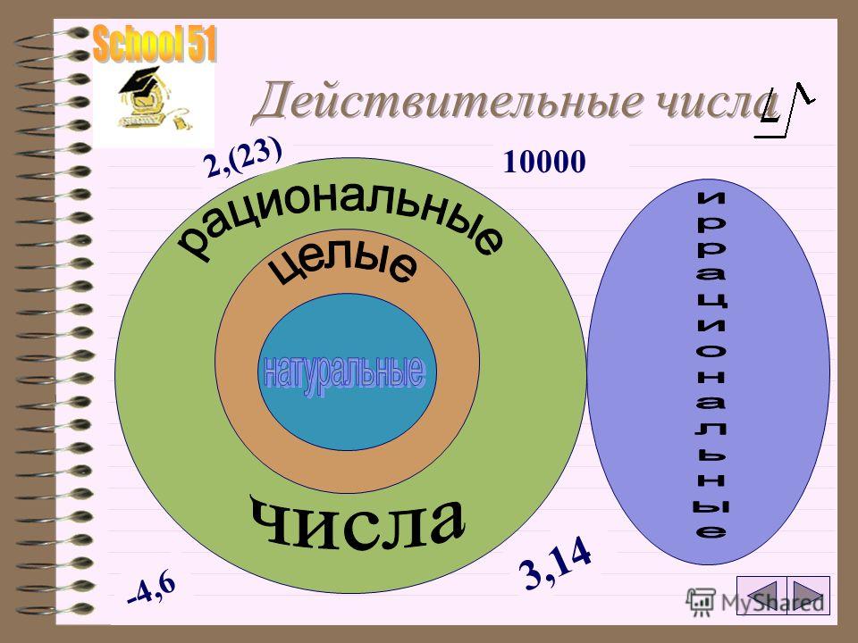 Бесконечные действительные числа