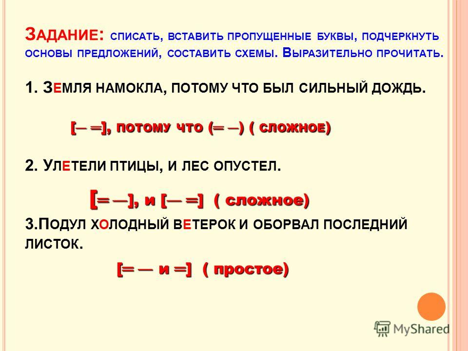 Записать 5 сложных предложений