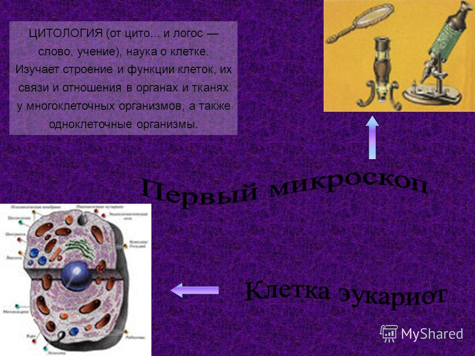 Какая наука изучает строение и функции клеток