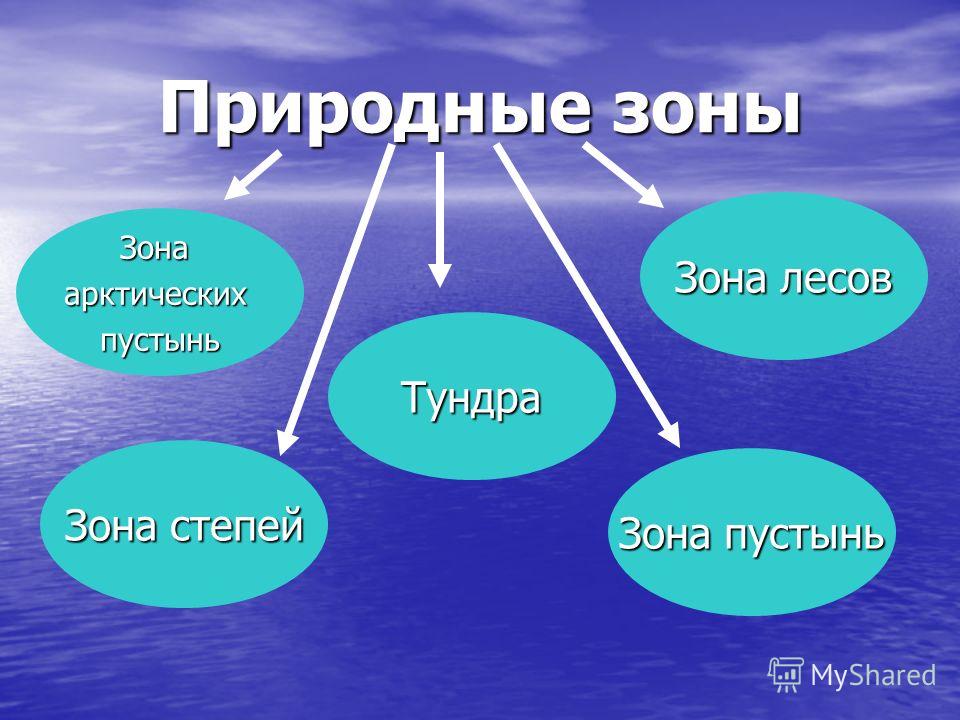 Природные зоны земли презентация 6 класс