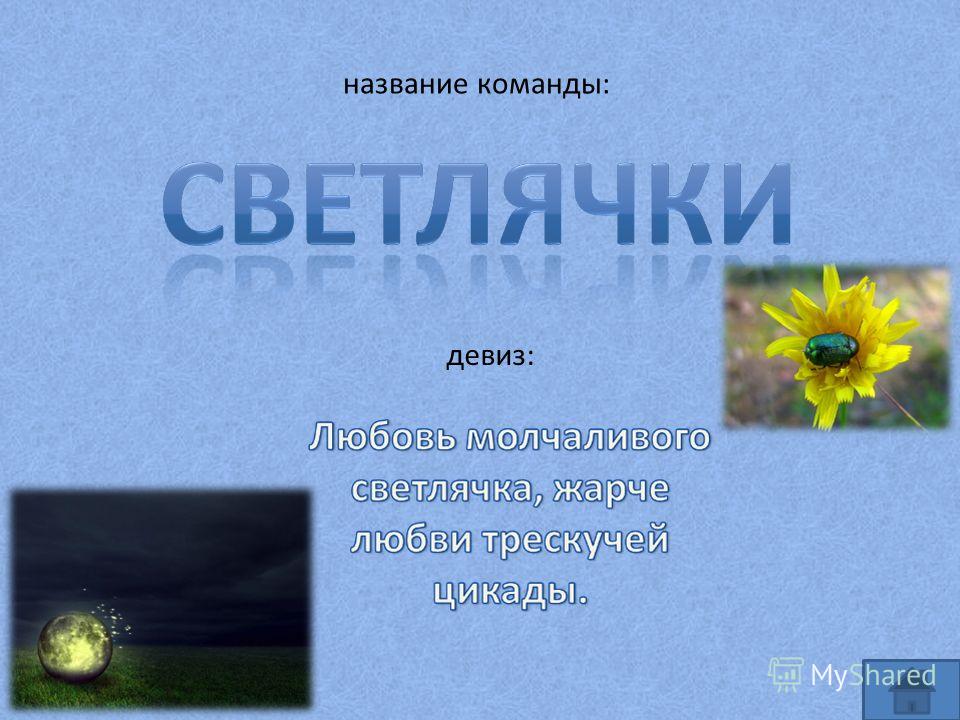 Название тем. Интересное название команды и девиз. Название и девиз отряда оригинальные. Научное название отряда. Интересные названия команд и девизы.