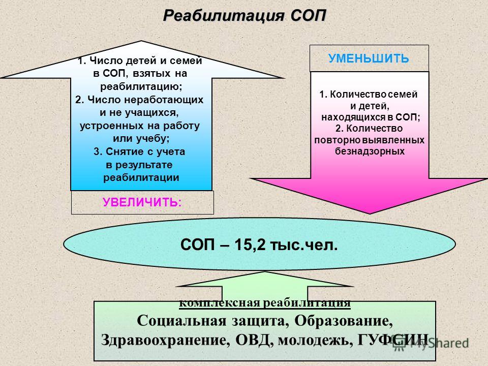 Соп это. Реабилитация семьи находящейся в социально опасном положении. Социальная реабилитация семей СОП. Санитарно-обмывочных пунктах (СОП). Количество семей СОП это.