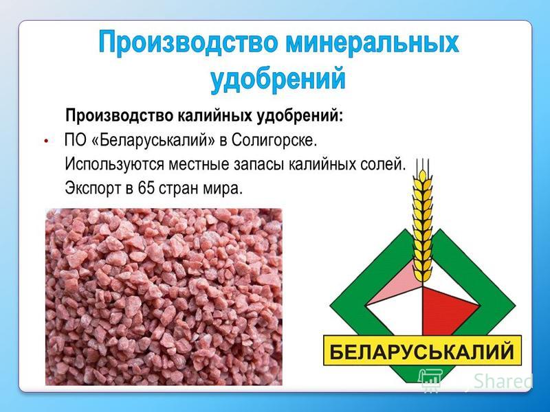 Калийные соли относятся к. Калийные Минеральные удобрения. Калийная соль презентация. Производство калийных удобрений. Калийная соль удобрение.