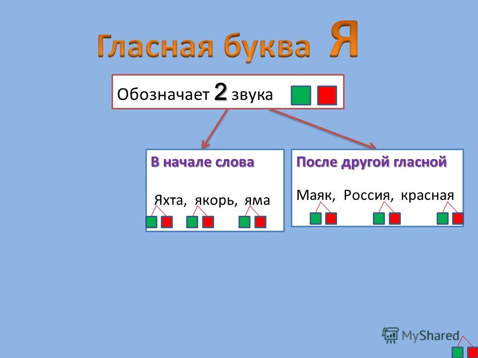 Заяц буквы и звуки разбор. Звуковая схема. Схема звуков. Звуковая модель слова. Фонетическая схема.