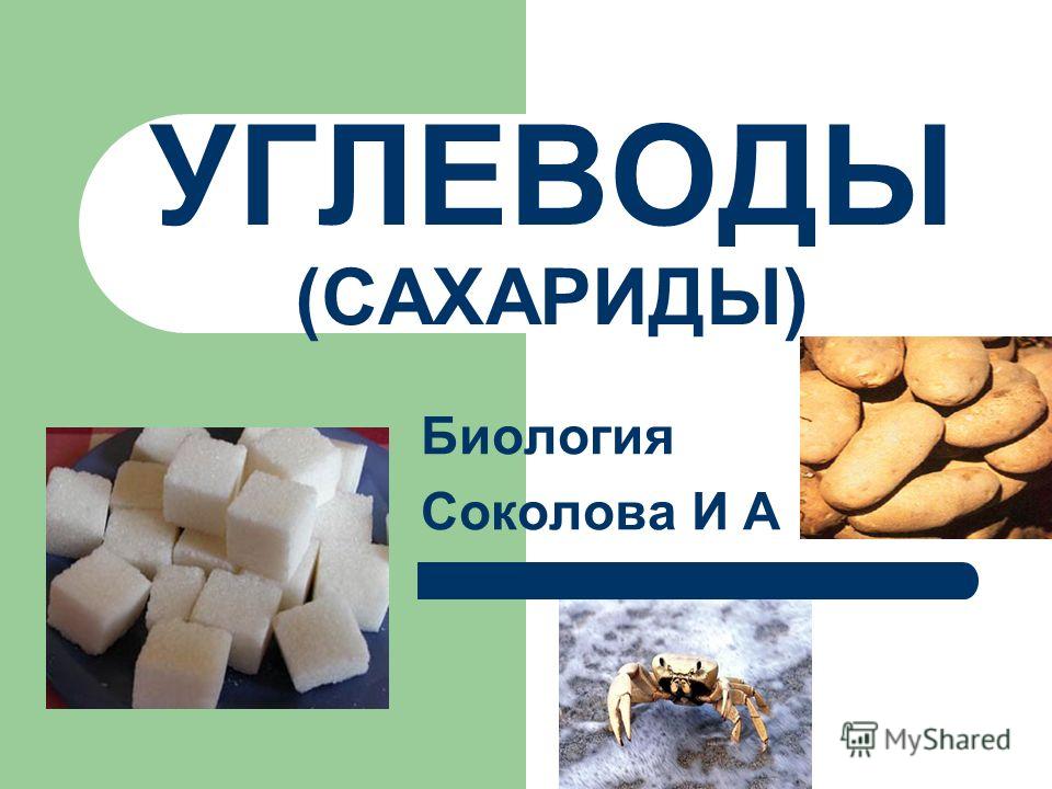 Животные углеводы. Сахариды это в биологии. Презентация по биологии на тему углеводы. Углеводы это в биологии 5 класс. Презентация про сахариды.