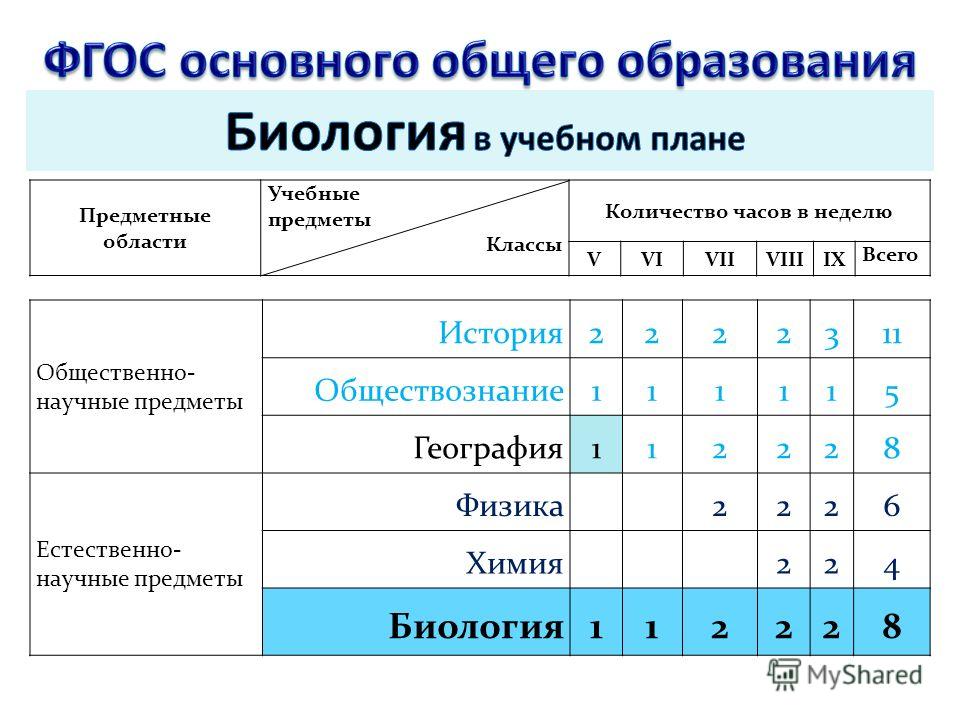 Естественно научный профиль 10 класс какие предметы. Какие предметы относятся к общественно научным предметам. Общественно-научные предметы это. Общественно научный цикл предметы.