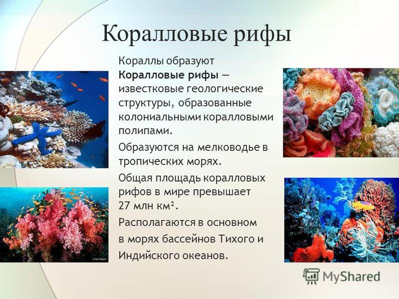 Карта распространения коралловых рифов