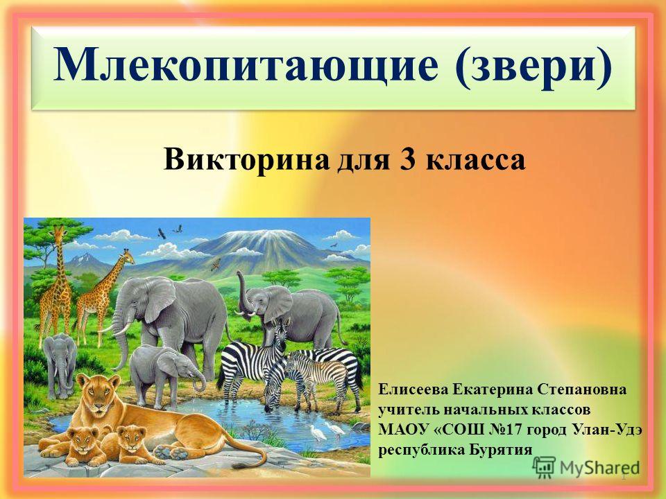 Животные это 3 класс. Млекопитающие презентация. Презентации по млекопитающим. Мир млекопитающих. Презентация млекопитающие 3 класс.