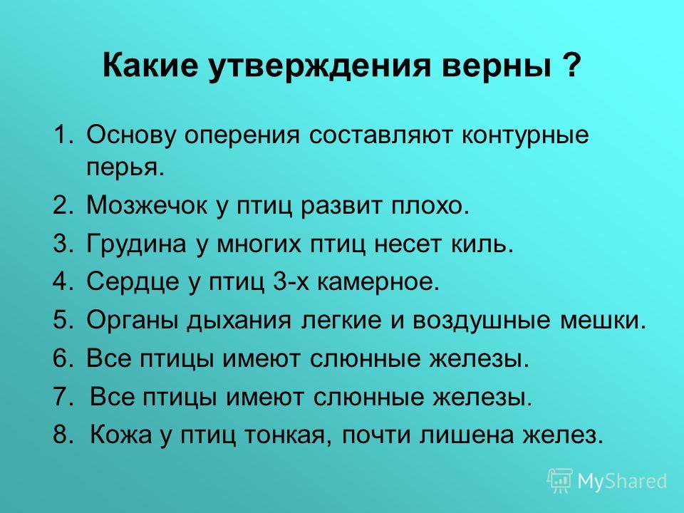 Какие утверждения верны не с существительными. Какие утверждения верны. Какие утверждения верны биология 7 класс. Какие утверждения верны для беспроводных мышей. Какие утверждения верны в каждом человеке есть свое "я".