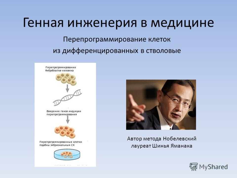 Проект на тему биотехнология и генная инженерия технологии 21 века