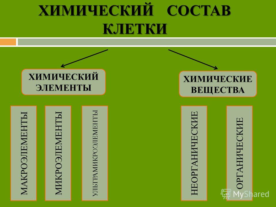 Презентация химический состав клетки 10 класс биология