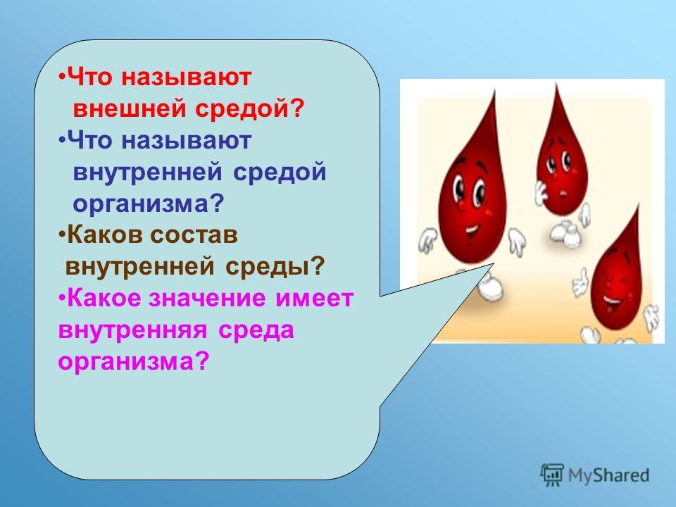 Среда значение. Кровь и остальные компоненты внутренней среды организма. Значение внутренней среды организма. Кровь внутренняя среда организма презентация. Каков состав внутренней среды организма?.