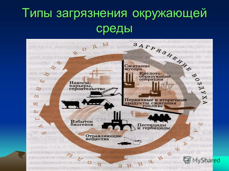 Окруженный вид. Виды загрязнения окружающей среды. Типы загрязнений. Типы загрязнителей окружающей среды. Основные виды загрязнения.