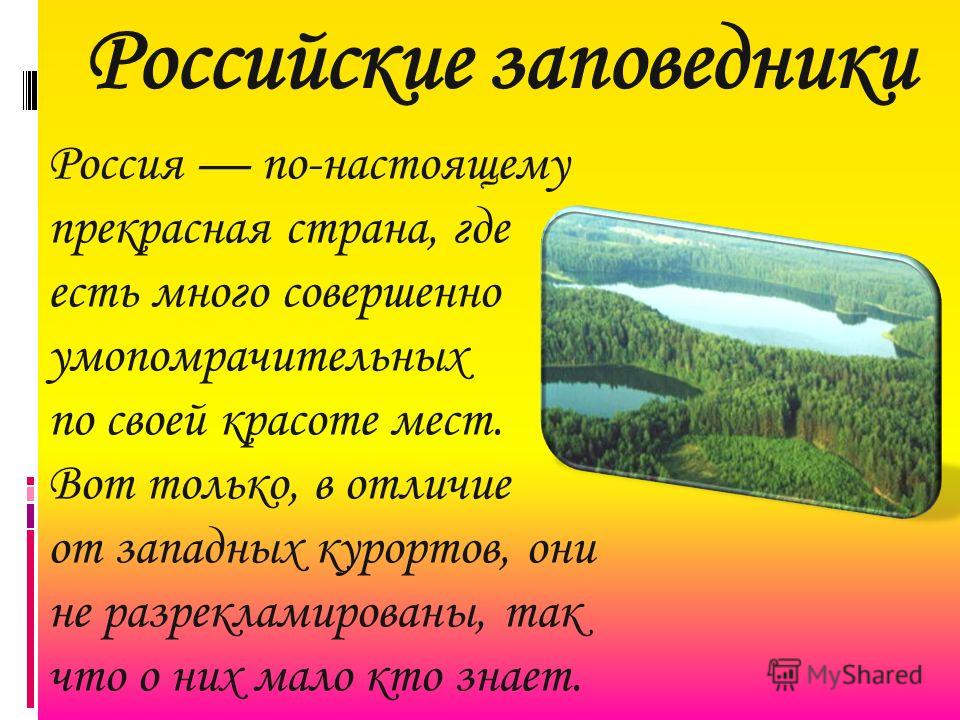 Про любой заповедник. Сообщение о заповеднике. Сообщение j заповедниках. Доклад о заповеднике. Рассказ о заповеднике России.