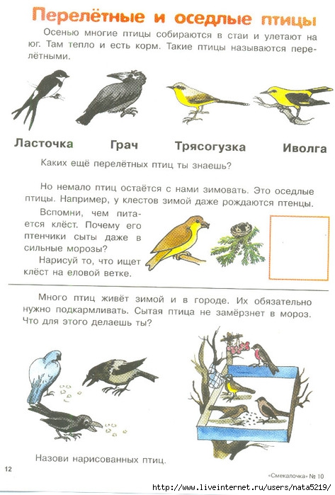 Календарный план перелетные птицы