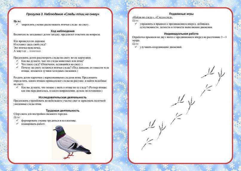 Перспективный план по теме перелетные птицы