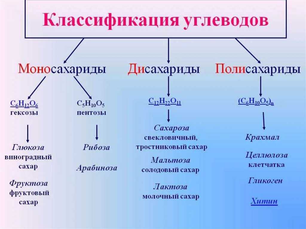 Углеводы презентация 9 класс по биологии