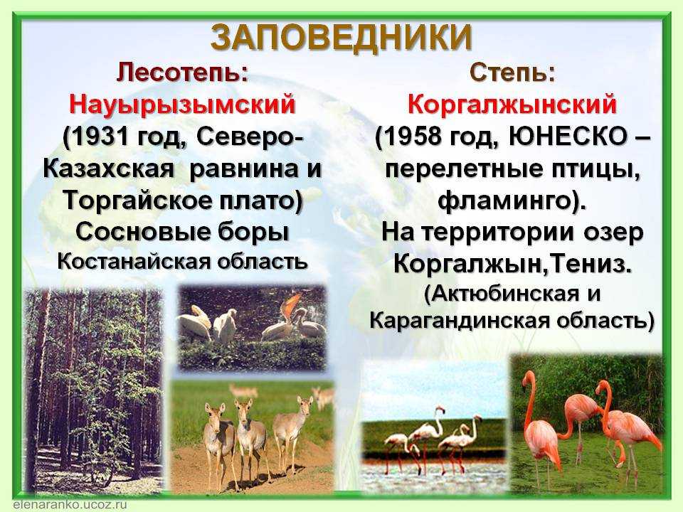 Имена заповедников. Заповедники степи. Заповедники в зоне степей. Заповедники Степной зоны России. Заповедники и национальные парки степные зоны.