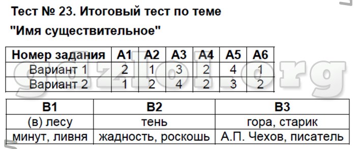 Итоговый тест по русскому языку 5 класс с ответами презентация